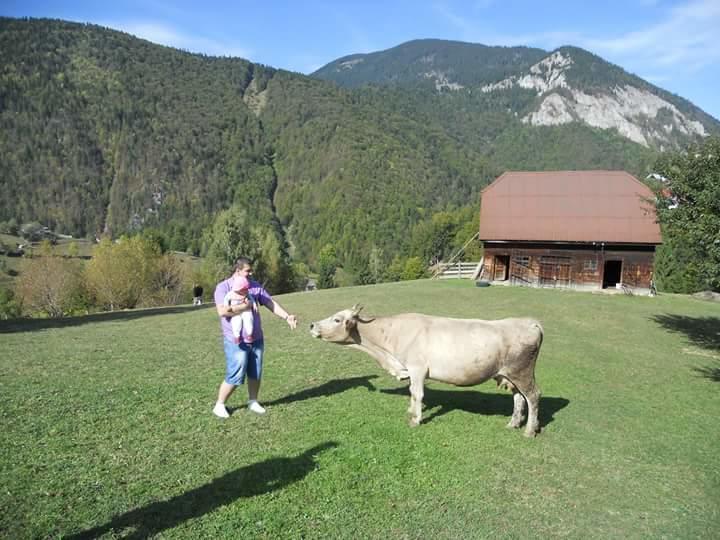 Pensiunea Casa Dobre Măgura Dış mekan fotoğraf